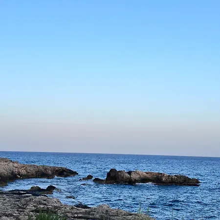 Aurita Оньина