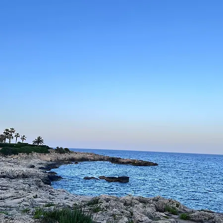 Villa Aurita