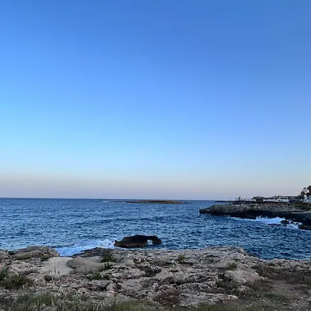 Aurita Оньина