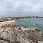 Aurita Villa