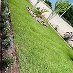 Aurita Villa *